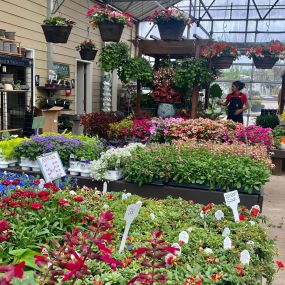 Bild von Superior Garden Center