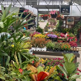 Bild von Superior Garden Center