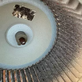 Bild von Phoenix Air Department