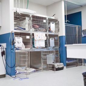 Bild von Onalaska Animal Hospital