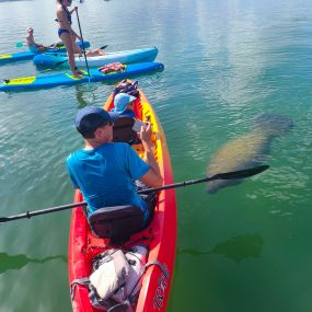 Bild von SURFIT USA-Kayaks, Paddleboards & Surf