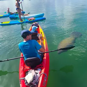 Bild von SURFIT USA | Kayaks, Paddleboards & Surf