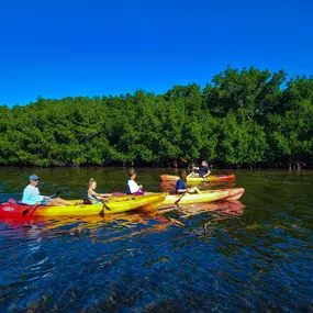Bild von SURFIT USA | Kayaks, Paddleboards & Surf