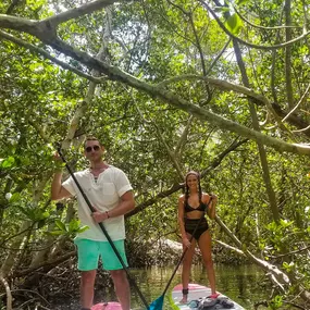 Bild von SURFIT USA | Kayaks, Paddleboards & Surf