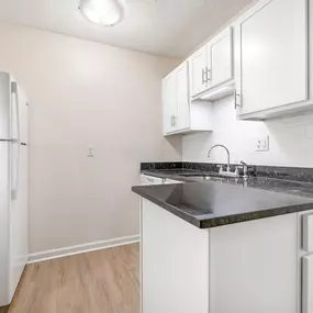 Granite Countertops & Updated Cabinetry