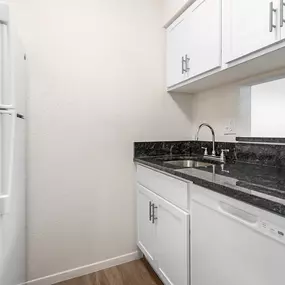 Renovated Kitchen