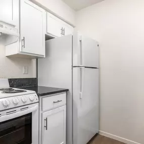 Renovated Kitchen