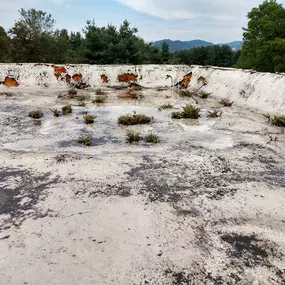 Bild von WNC Roofing