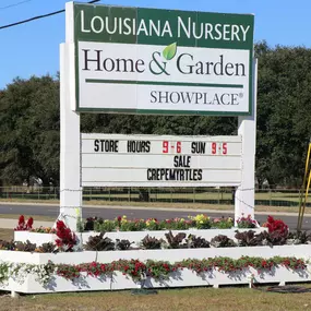 Bild von Louisiana Nursery