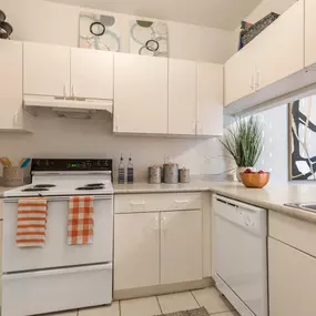 Well-Equipped Kitchen