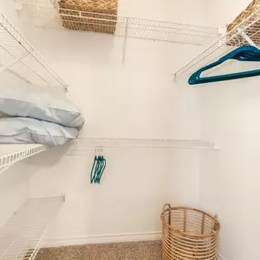 Large Closet with Organized Shelving