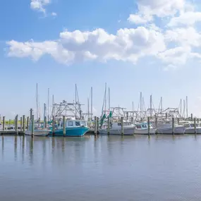 Located Near the Bucktown Marina