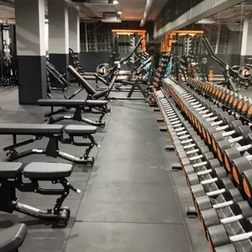 Bild von Basic-Fit