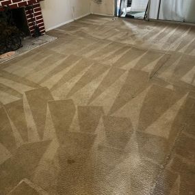Bild von PNW Carpet & Duct Cleaning