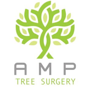 Bild von AMP Tree Surgery