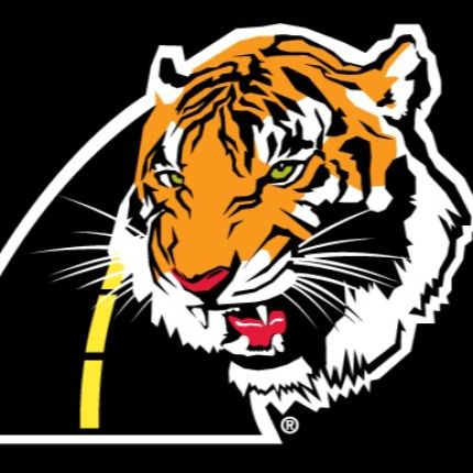 Logo from Law Tigers Motorcycle Injury Lawyers - Fayetteville