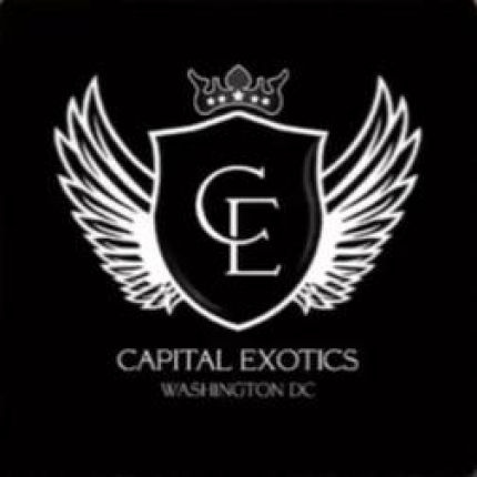 Logo from Capital Exotic | Exotic Car Rental Service