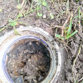 Grease in Cleanout