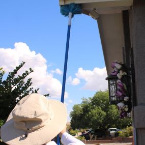 Best exterminators, Rio Rancho, NM, Swsolutionsnm