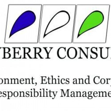 Logo from Crowberry Consulting Ltd