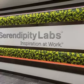 Bild von Serendipity Labs - Rochester