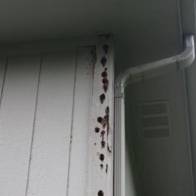 Siding repair and wood trim repair, woodpecker damage repair in Omaha NE