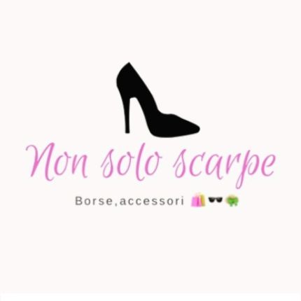 Logo de Non Solo Scarpe