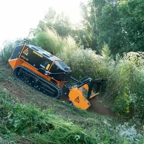 Bild von Ironhide Equipment