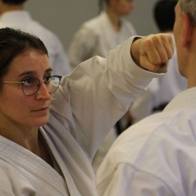 Bild von Cercle parisien shotokan