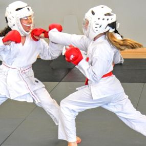 Bild von Cercle parisien shotokan