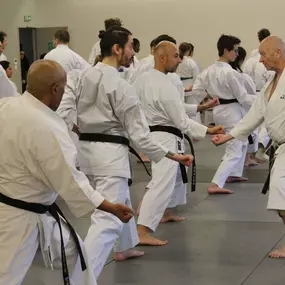 Bild von Cercle parisien shotokan