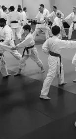 Bild von Cercle parisien shotokan