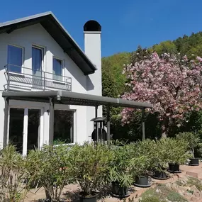 Bild von LUKÍNO APARTMÁNY