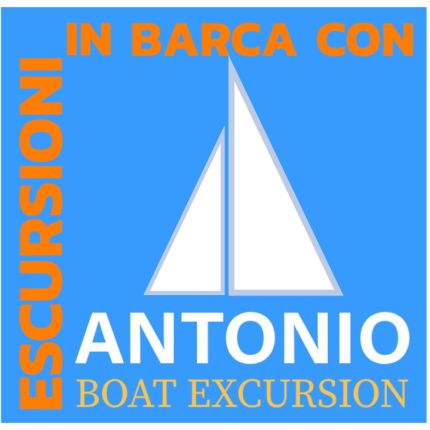 Logo from Tao Sea Boat