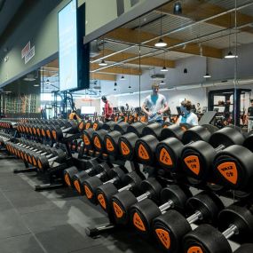 Bild von Basic-Fit Ninove Ring-West 24/7