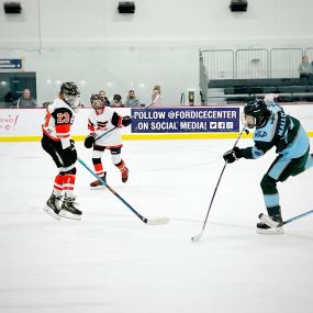 Bild von Nashville Youth Hockey League (NYHL)