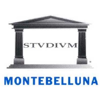 Logo von Scuola Studium