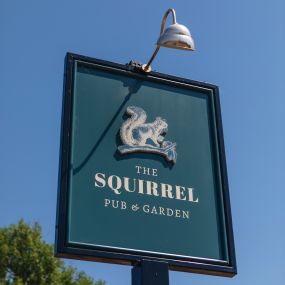 Bild von The Squirrel