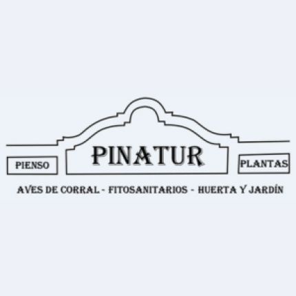 Logo de Pinatur