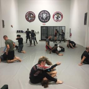 Bild von Schell Shock BJJ