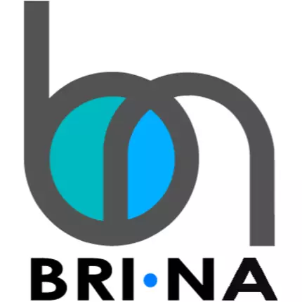 Logo da Brina Sas