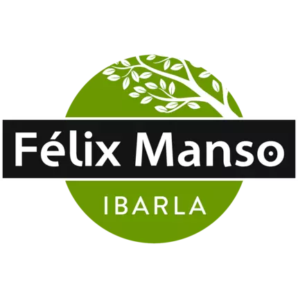 Logotyp från Felix Manso Ibarla