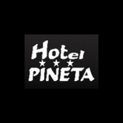 Logo da Hotel Pineta