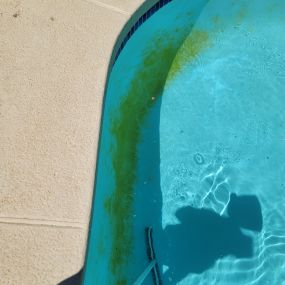 Bild von Pool Spa Cleaner LLC.