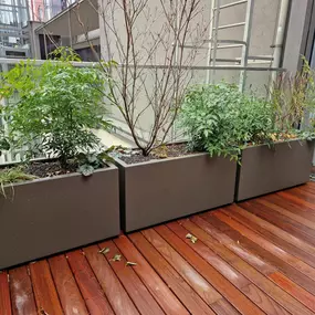Bild von die traumgarten AG