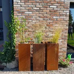 Bild von die traumgarten AG