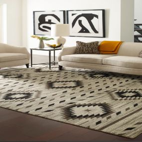 Moroccan style area rug in living room.