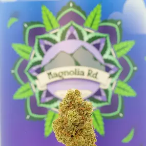 Cannabis Dispensary in Colorado Springs - Magnolia Road Cannabis Co