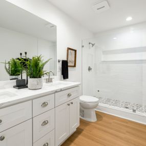 Marble Countertop Bathroom Remodel with Frameless Shower Doors