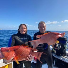 Bild von Ocean Quest Scuba Charters